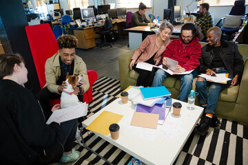 Friends working together in cosy office