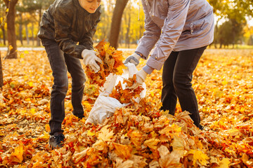 Volunteers cleaning the park from fallen yellow leaves. Autumn landscape. People are shoveling...