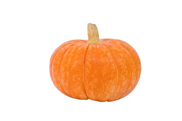 Pumpkin isolated on white background