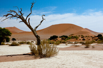 Namibia