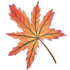 Vector illustration of Maple leaf. Easy isolation background. Perfect for Autumn design decorations even or etc.