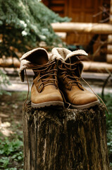 Hiking boots standing on the stump in the forest and wooden country house on the background.