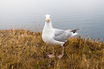 Was willst du hier bei mir?