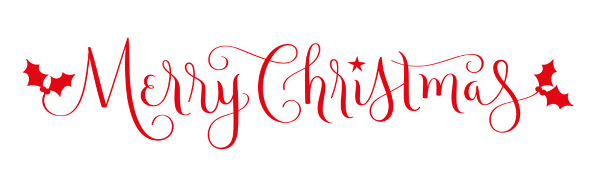 MERRY CHRISTMAS red vector brush calligraphy banner with holly motifs on white background