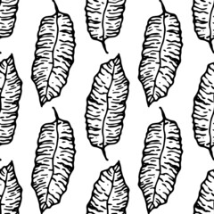 Vector seamless pattern of tropical leaves. Isolated black outline on a white background for the design template. a hand-drawn tropical leaf, long with veins, arranged vertically. black and white text