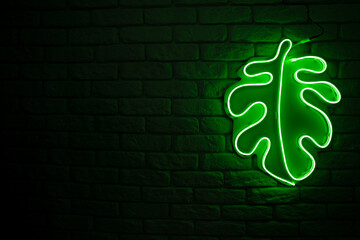 green neon in the shape of a rib of adam on a brick wall. dark space for writing. lit only by neon....