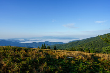 roan highlands, western north carolina
