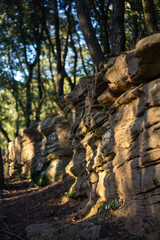 Fototapeta na wymiar pared de rocas redondeadas con luz atardecer y sombras de ramas