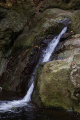 pequeña cascada entre rocas planas parcialmente verdes