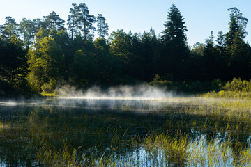 Mgła nad leśnym stawem © Szymon