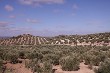 Paseo de la via verde en la provincia de Jáen