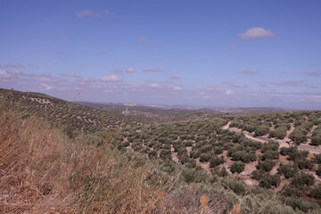 Paseo de la via verde en la provincia de Jáen