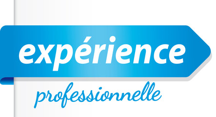 PICTO EXPERIENCE PROFESSIONNELLE