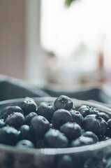 Vegan and vegetarian concept of fresh sweet berries. Big ripe blueberry closeup. Northern bilberry