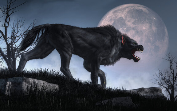 A demonic creature with big claws and teeth stalks through long grass soon after nightfall as the moon rises. This black dog shaped beast is a Barghest, a hell hound of English folklore. 3D Rendering.