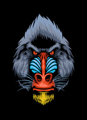 Hand Drawn style of Mandrill monkey head