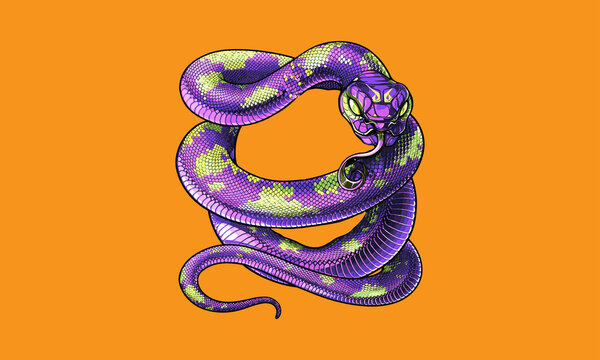 vector snake body