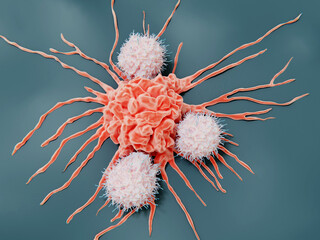 Natural killer cells attacking a cancer cell - obrazy, fototapety, plakaty