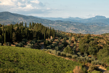 classical tuscan scenery