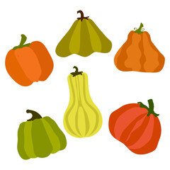  Autumn Vector set of pumpkins. Pumpkins of different colors in a flat style. Vegetables hand drawn isolated