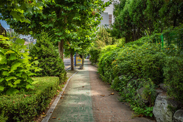 Obraz premium path in the garden