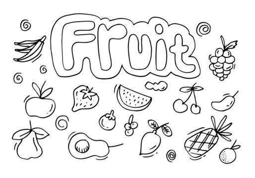 Doodle fruit set. hand drawing of fruits in different styles.