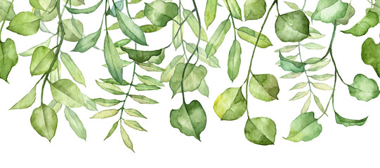 Long seamless banner with hanging ivy leaves on twigs. Watercolor hand painted botany plants. Floral header design with aquarelle leaves - obrazy, fototapety, plakaty
