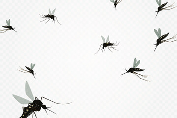Isolated mosquito white background. Realistic dengue mosquito in vector illustration. Design of graphic source for healthcare of fever that mosquito is transmitter