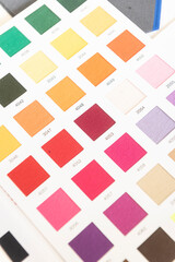 Color sampler Pantone
