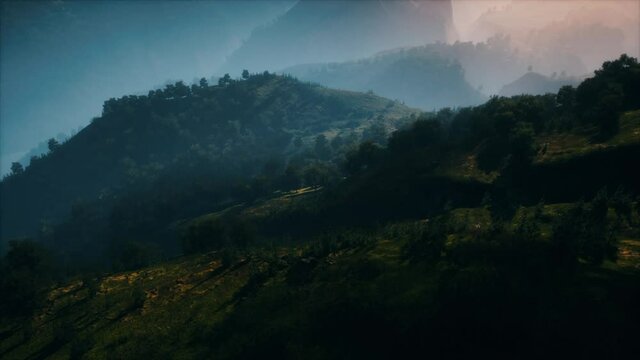 autumn forest on green rocky hills