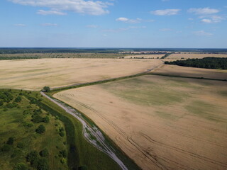 Green deciduous forest next to a farm field. Landscape from a bird's eye view. Sunny weather.