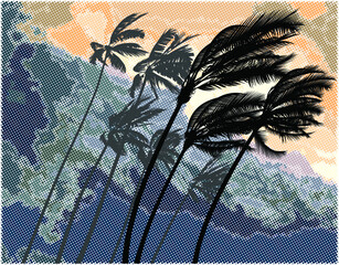 Palm trees bent by a strong hurrican wind - 456011963