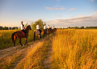 A group of girls on horses gallops through the meadows with their backs to the camera.