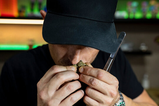 Anonymous man smelling dry marijuana flower bud in room