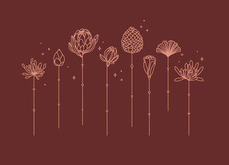 Flowers long stem drawing in art deco style on red background