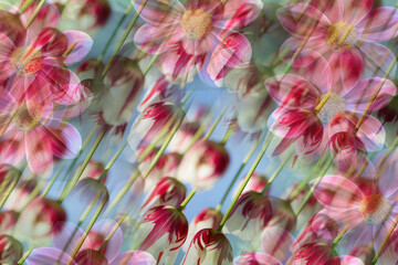 Colorful pattern background