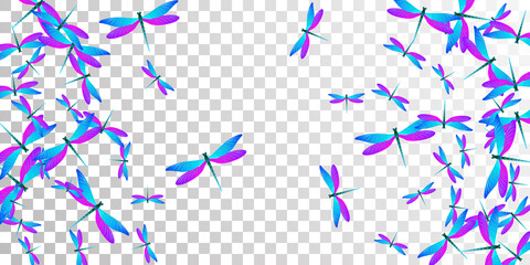 Tropical blue purple dragonfly flat vector wallpaper. Spring pretty damselflies. Decorative dragonfly flat children illustration. Gentle wings insects patten. Nature beings