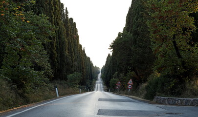 The famous Viale dei Cipressi in Bolgheri is a road that extends from west to east in the municipality of Castagneto Carducci, in the heart of the Livorno Maremma. - obrazy, fototapety, plakaty