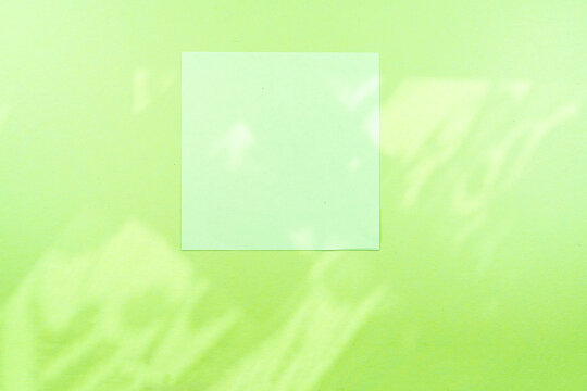 green sheet of paper