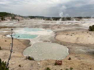 grand prismatic spring park