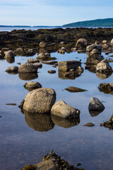 Tide pool at Moose Point in Searsport Maine