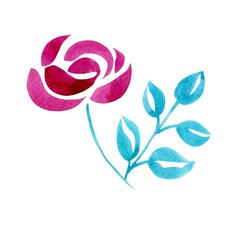 pink rose flower on a white background