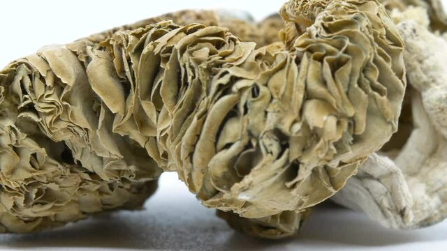 Macro detailed shot of the texture of dried Shrooms, also known as Magic Mushrooms or psilocybin hallucinogenic drugs.