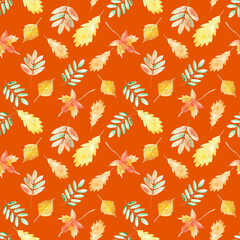 Autumn pictures and patterns in watercolor.