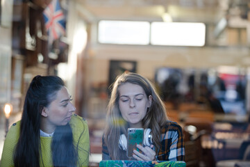 Young female college students studying at cafe window