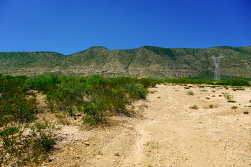 Scenic view of green plants and bushes on landscape near mountains against clear blue sky during sunny day