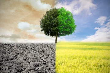 Fototapeten Climate change from drought to green growth © chartphoto