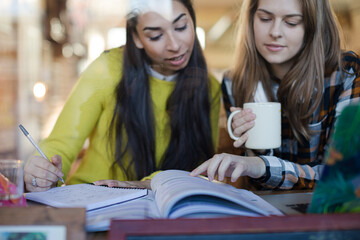 Young female college students studying in cafe