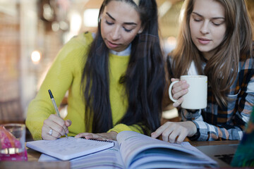 Young female college students studying in cafe