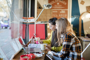 Young female college students studying in cafe